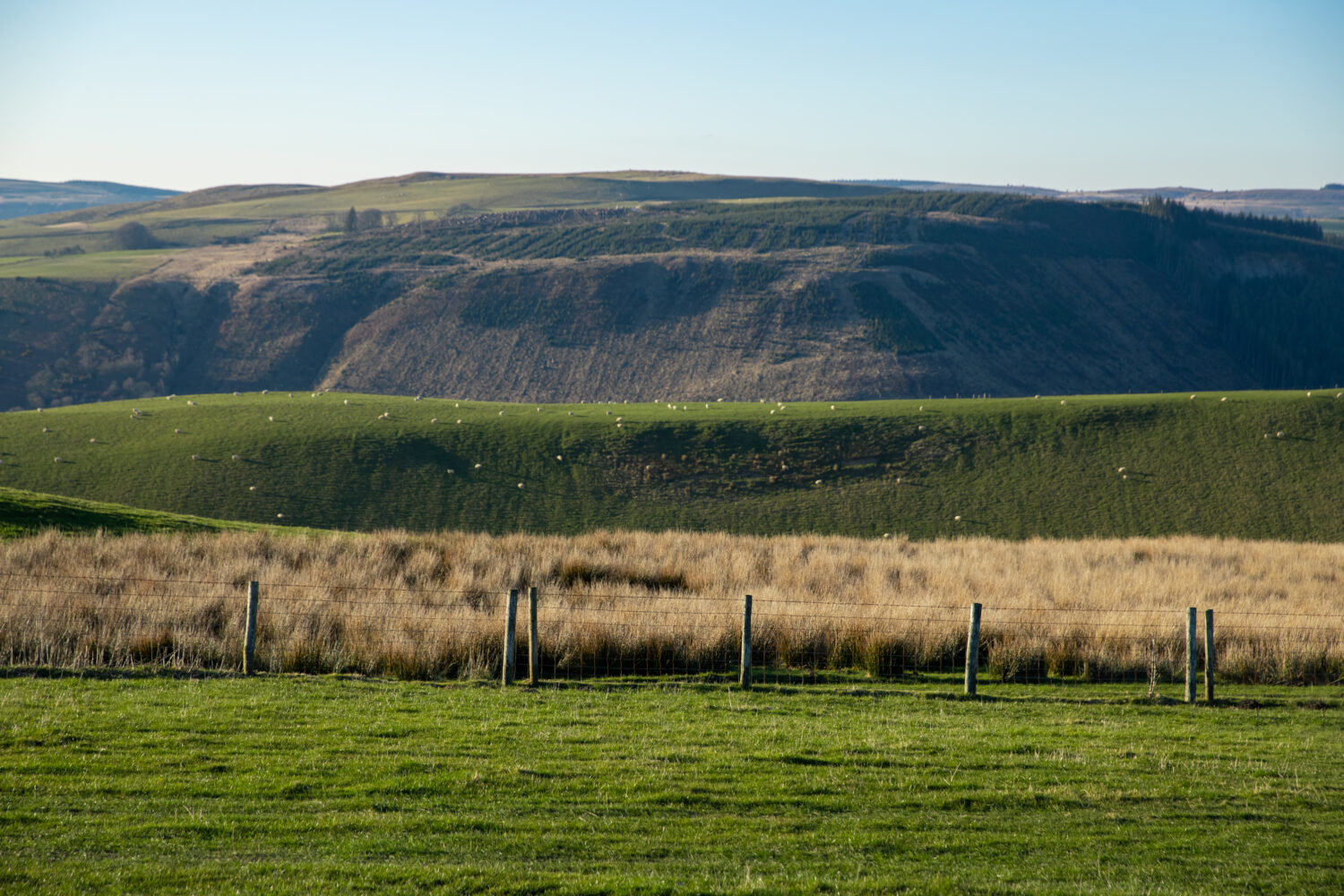 Forestry Skills Training Programme Expands To Scotland - Tilhill Forestry