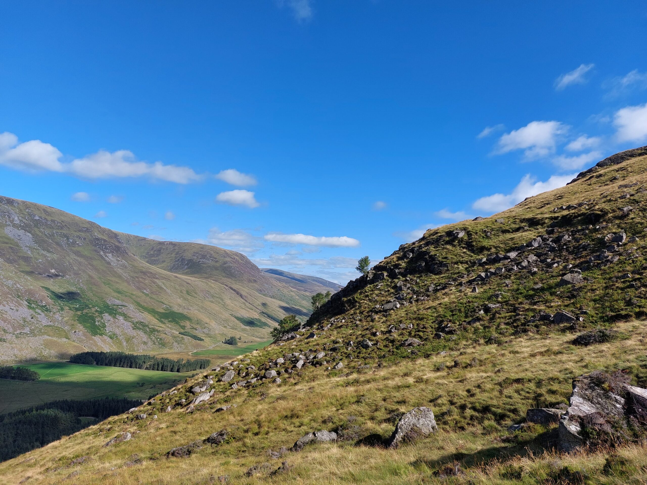 Glen Clova - Tilhill Forestry